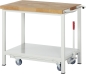 Preview: Werkbank mit Fahrgestell 8000-6, B1000xT700xH880mm