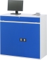 Preview: Computer-Schrank 60T, B1100xT520xH1060mm, stationär