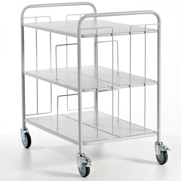 Bürowagen mit Trenngittern